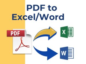 PDF to Word / Excel Converter