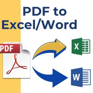PDF to Word / Excel Converter